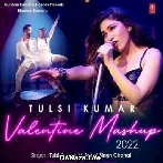 Tulsi Kumar Valentine Mashup 2022