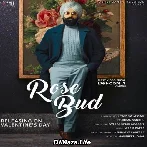 Rose Bud - Tarsem Jassar