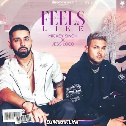 Feels Like - Mickey Singh
