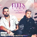 Feels Like - Mickey Singh