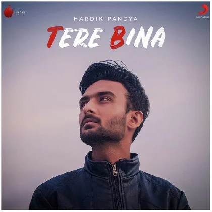 Tere Bina - Hardik Pandya