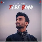 Tere Bina - Hardik Pandya