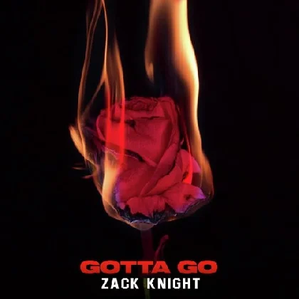 Gotta Go - Zack Knight