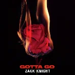 Gotta Go - Zack Knight