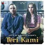 Teri Kami - Ash King