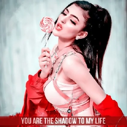 You Are The Shadow To My Life