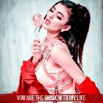 You Are The Shadow To My Life