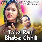Toke Rani Bhabe Chhili