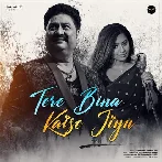 Tere Bina Kaise Jiyu - Kumar Sanu
