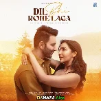 Dil Bhi Rone Laga - Kumar Sanu