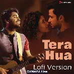 Tera Hua Lofi