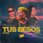 Tus Besos