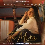 Tu Mera - Tulsi Kumar