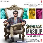 Shehzada Mashup - DJ Basque