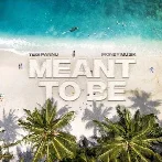 Meant To Be - Tegi Pannu