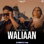Waalian - George Sidhu