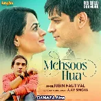 Mehsoos Hua - Ab Dilli Dur Nahin
