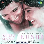 Na Roja Nuvve - Kushi