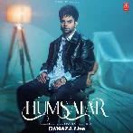 Humsafar - Miel