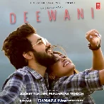 Deewani - Sachet Tandon