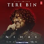 Tere Bin - Nihal Tauro