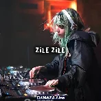 Zile Zile