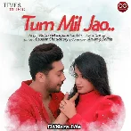 Tum Mil Jao - Zaid Darbar