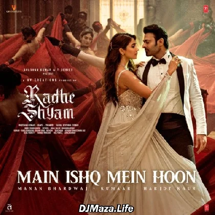 Main Ishq Mein Hoon - Radhe Shyam
