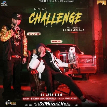 Challenge - Ninja