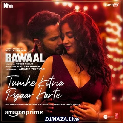 Tumhe Kitna Pyar Karte - Bawaal