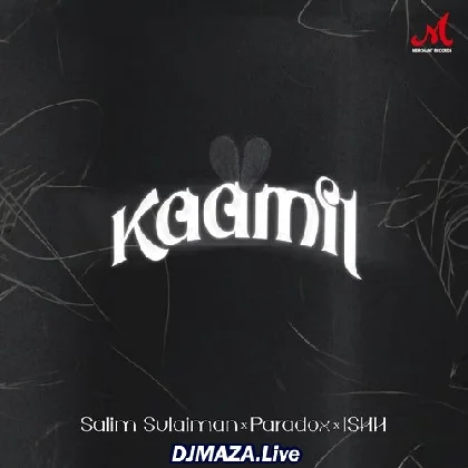 Kaamil - Paradox
