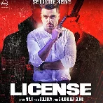 License - Ninja
