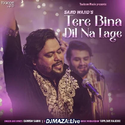 Tere Bina Dil Na Lage - Danish Sabri