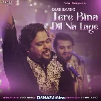 Tere Bina Dil Na Lage - Danish Sabri