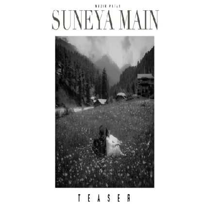 Suneya Main - Wazir Patar