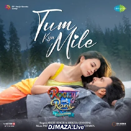 Tum Kya Mile Hum Na Rahe Hum