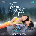 Tum Kya Mile Hum Na Rahe Hum