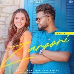 Zaroori - Akhil