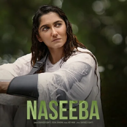 Naseeba - Davinder Gumti