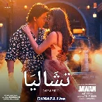 Chaleya Arabic