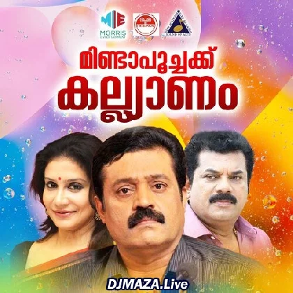 Medamasa Pulari Kayalil