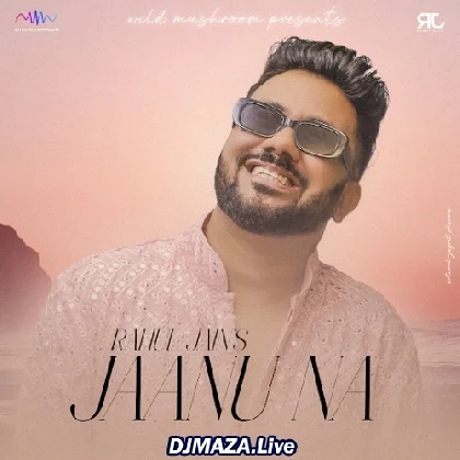 Jaanu Na - Rahul Jain