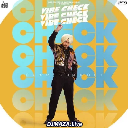 Vibe Check - Ekam Chanoli