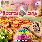 Chittu Chittula Bomma