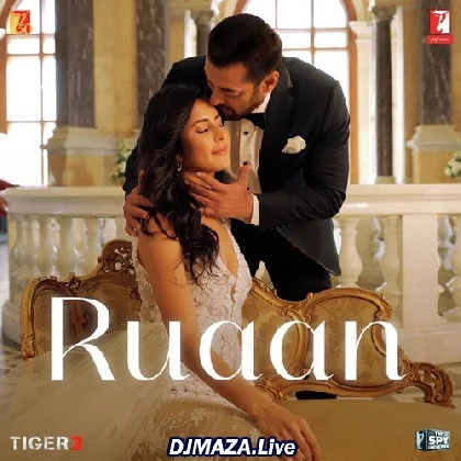 Harjai Ankhiyaan - Tiger 3