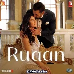 Harjai Ankhiyaan - Tiger 3