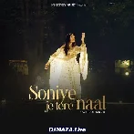 Soniye Je Tere Naal