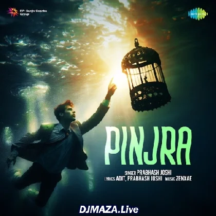 Pinjra - Prabhash Joshi
