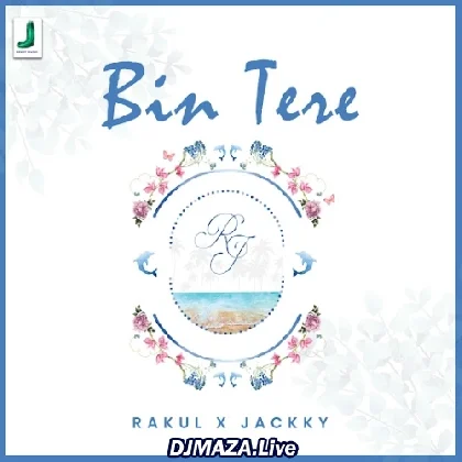 Bin Tere - Zahrah S Khan Romy