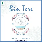 Bin Tere - Zahrah S Khan Romy